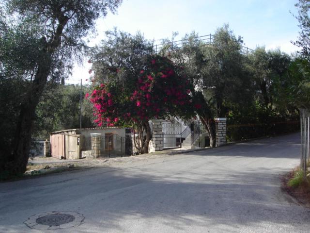 Natsios Apartments Vlachopoulátika Exterior foto